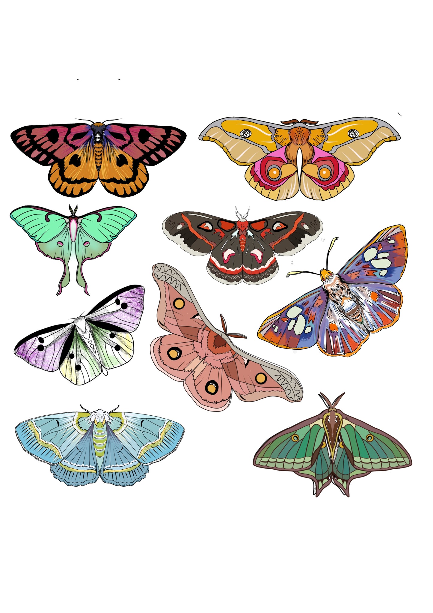 Moths